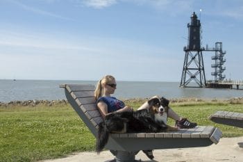 Ferienhäuser mit Garten direkt an der Nordsee Ferienhäuser mit Garten direkt an der Nordsee