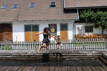 Meissnitzerhof -Nix für schwache Nerven