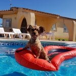 80 private Ferienhäuser direkt vom Eigentümer 80 private Ferienhäuser direkt vom Eigentümer