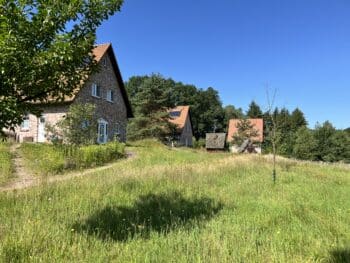 Bispinger Heidezauber