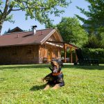 Ferienhaus Salzkammergut Ferienhaus Salzkammergut