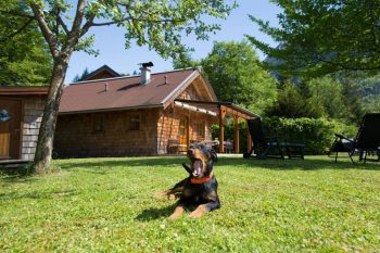 Ferienhaus Salzkammergut