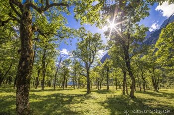 DIE ENG – DAS NATURHOTEL