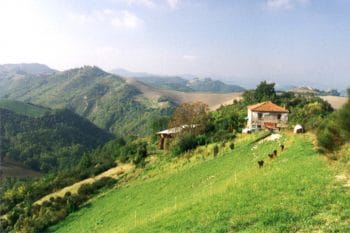 Peters Bed und Breakfast