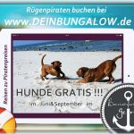 BUNGALOW DIREKT AM STRAND AUF RÜGEN BUNGALOW DIREKT AM STRAND AUF RÜGEN