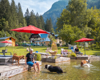 GRUBERS  – das Doggy Hotel mit Hundebadeteich