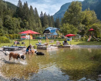 GRUBERS  – das Doggy Hotel mit Hundebadeteich