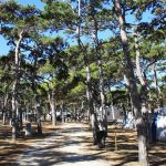 Hundefreudlicher Campingplatz Planik Hundefreudlicher Campingplatz Planik