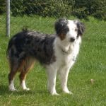 Familienhotel am Tierpark Familienhotel am Tierpark