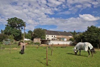 Wanderreitstation & Ferienwohnungen Ourtalhof Wanderreitstation & Ferienwohnungen Ourtalhof