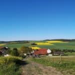 Weg oberhalb 2