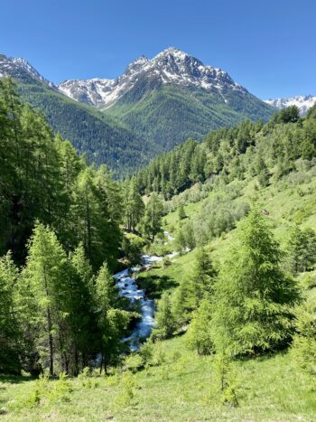 Engadin Holidays Chasa 32