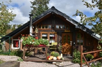 Holzfäller-Hütte in den Vogesen mit Sau