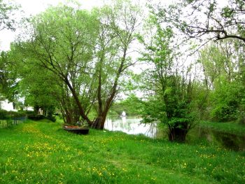 Ferienhaus im Unterspreewald