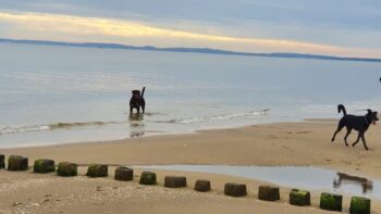 Haus Odin I Usedom