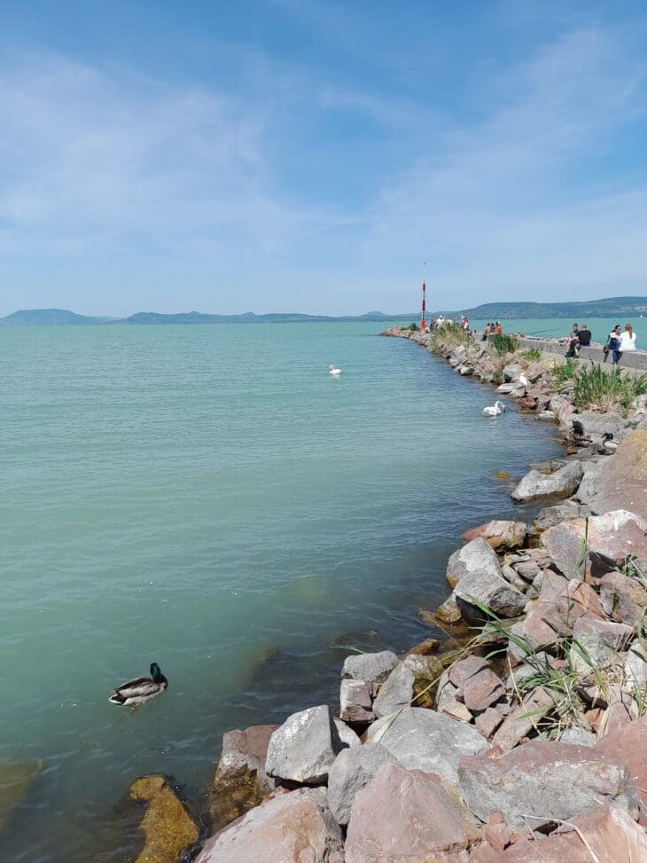 Urlaub Mit Hund In Ungarn Am Plattensee Pia`s Ferienwohnung am Balaton - Urlaub mit Hund Buzsak , Plattensee