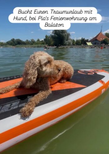 Pia` s Fewo am Balaton