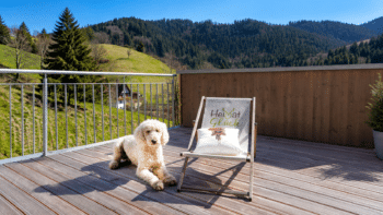 Heimatglück Schwarzwald