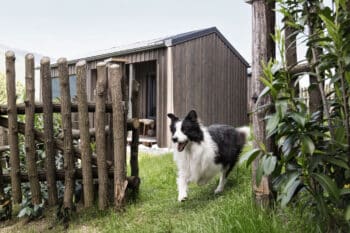 Sloho Bergurlaub mit Hund-
