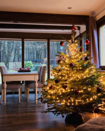 Ferienhaus am Wald in Wulsbüttel