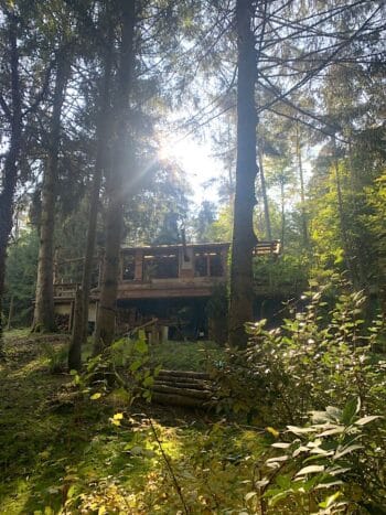 Wald-Chalet