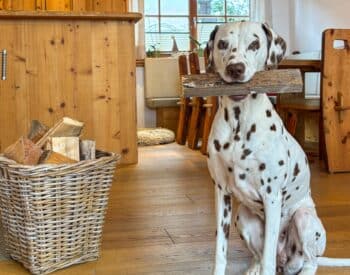 Birnbaum Chalets in Grossarl