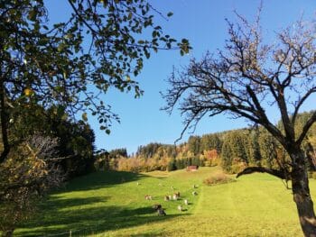 Pölterhof – Urlaub am Zillertaler Bauernhof