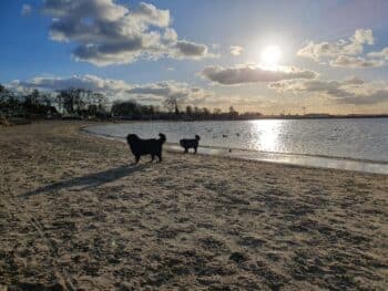 2 schöne Ferienhäuser am Sandstrand