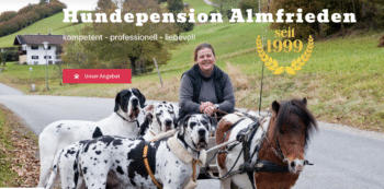 Hundepension Almfrieden