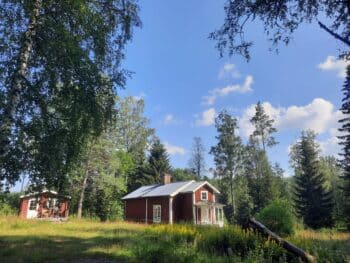 Wunderschönes Feriengrundstück direkt im Wald