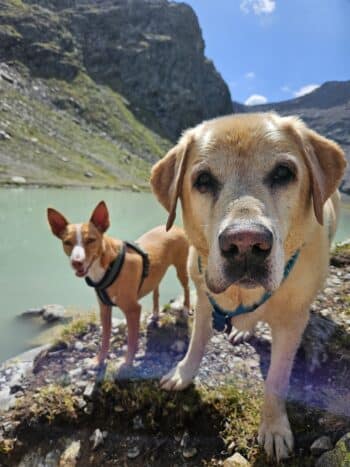 Aktivurlaub Morandell im Ölztal