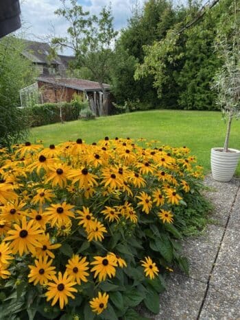 Familienferienhaus Irene am Bodensee