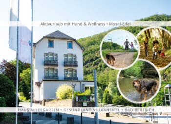 Haus Alleegarten Ferienwohnungen