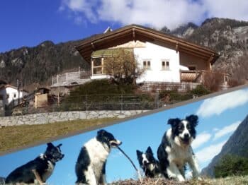 Abseits – „Urlaub mit Hund“