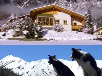 Abseits – „Urlaub mit Hund“