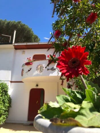 Pineta al Mare