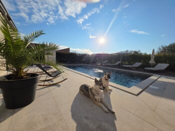 Villa Olea – Hunde Willkommen