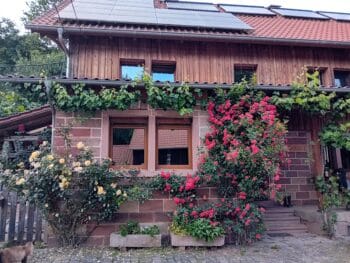 Gästehaus Lauersmühle