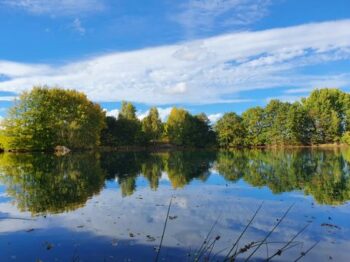 Ferienwohnungen am See – mit privatem Garten!