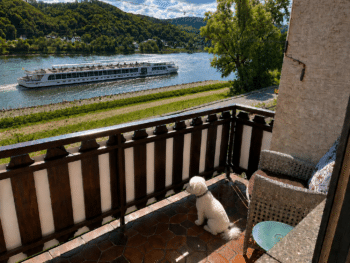 Loreleyresidenz