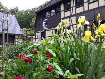 Dat Waldhus – Urlaub mit Hunden
