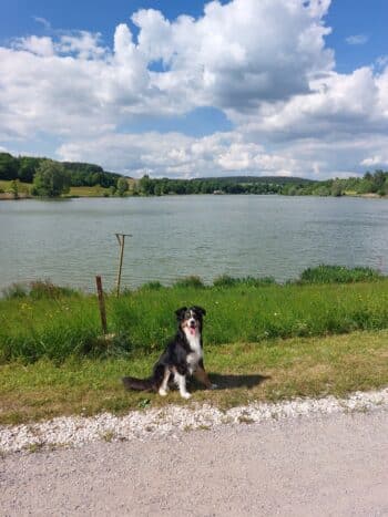 Ferienwohnung Heimatliebe am See