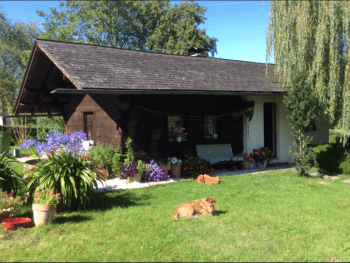 Ferienglück am Attersee