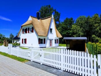 Silbermöve 5 Sterne