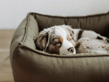 GRETI – Alpine Boutique Hotel by Gruber