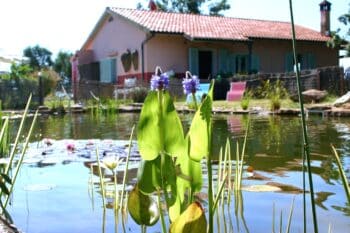 Tre Querce Drei Eichen