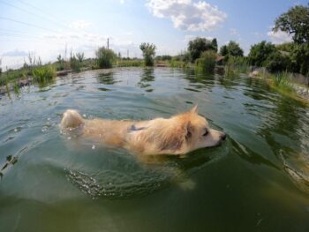 NaturAuszeit Weinviertel