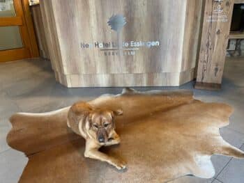 Neo Hotel Linde Esslingen