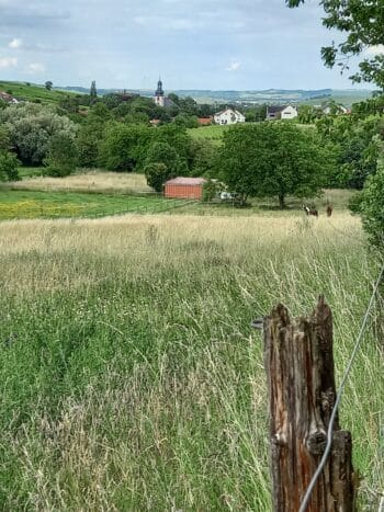 Auszeit im Rebenmeer – Urlaub in Alleinlage