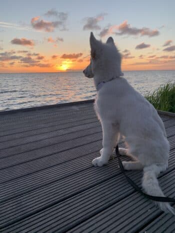 Sonnenplätzchen in Enkhuizen am IJsselmeer